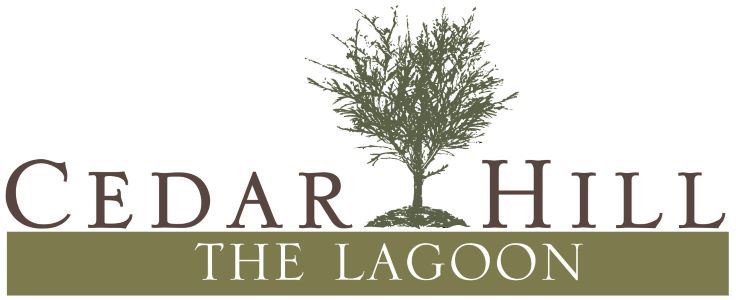 Lagoon tag Logo BLACK