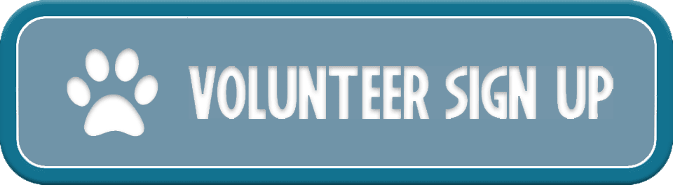 Volunteer Sign Up Opens in new window