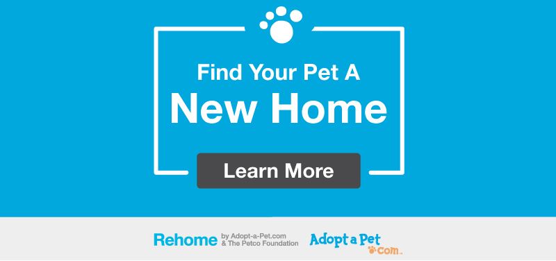 rehomeadoptapet Opens in new window