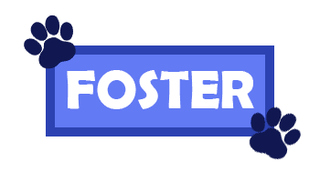 Foster_Icon