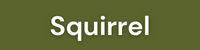 Squirrel_Link